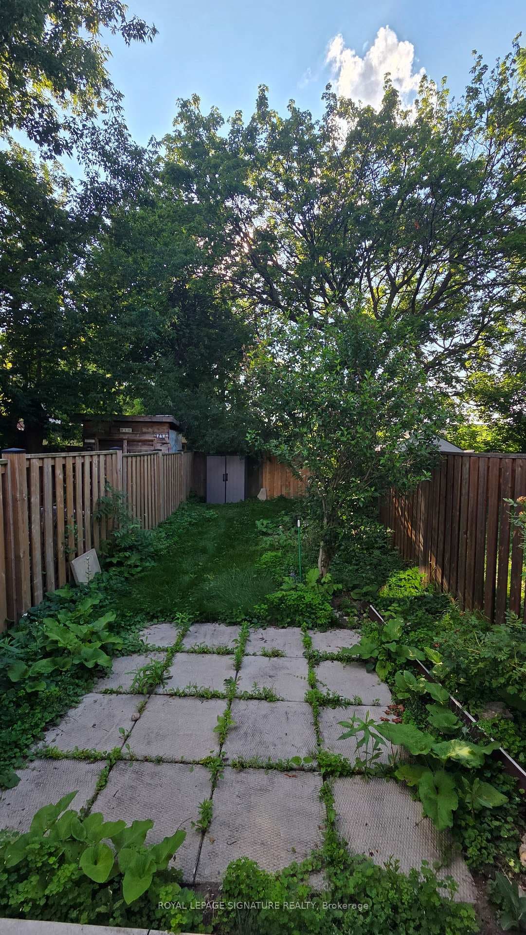 33 Hawthorne Avenue photo 13