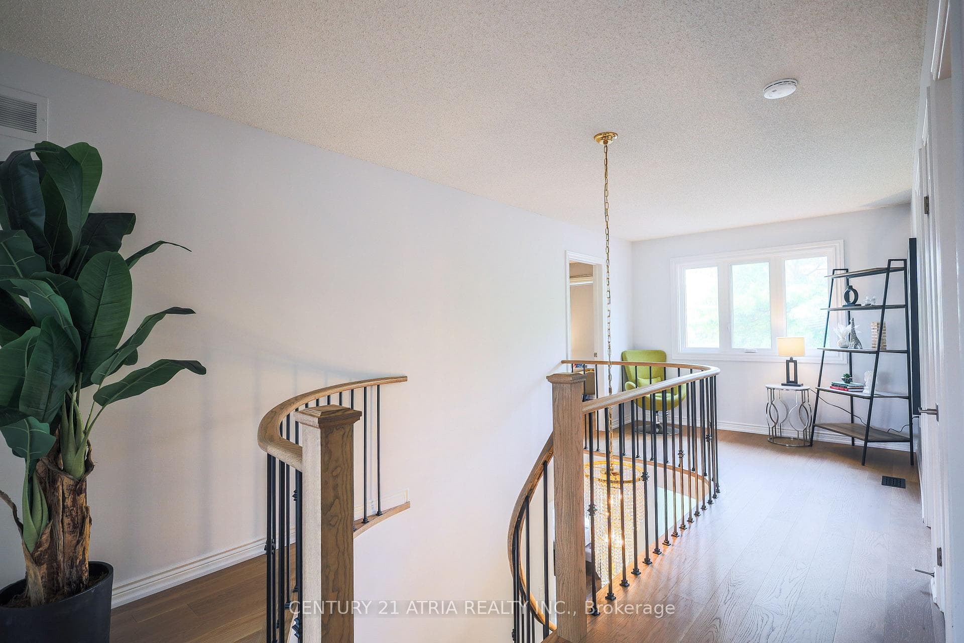 36 Dorothy Britton Drive photo 18