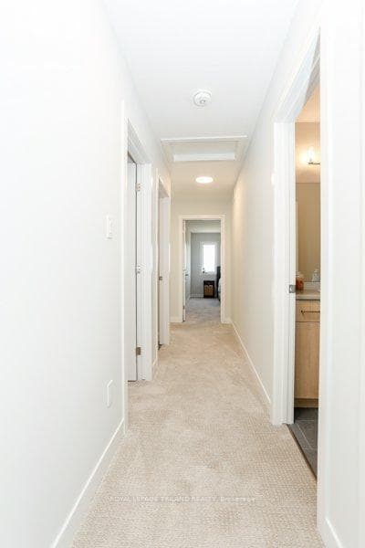 17 Evylean Court photo 26