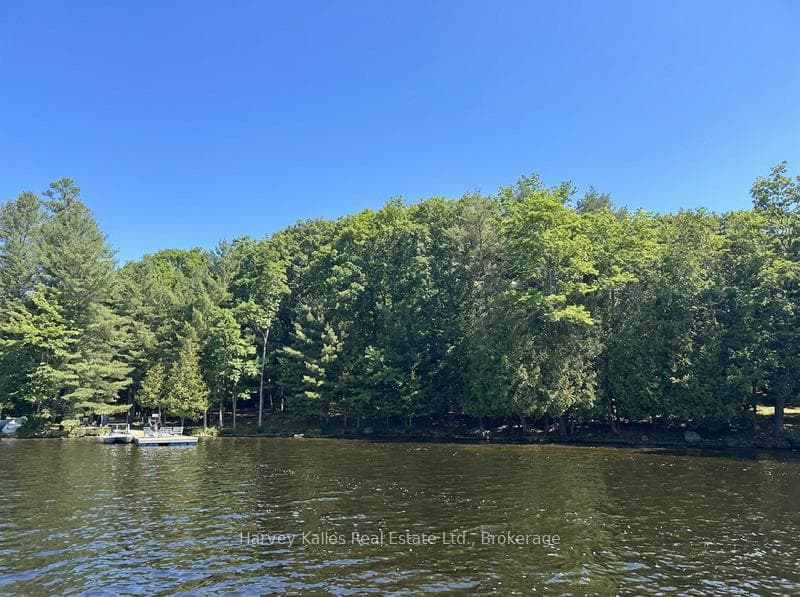 190 straight-line feet of shore & 82 acres of land