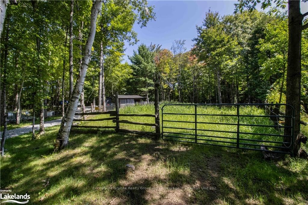 4141 GELERT Road photo 37