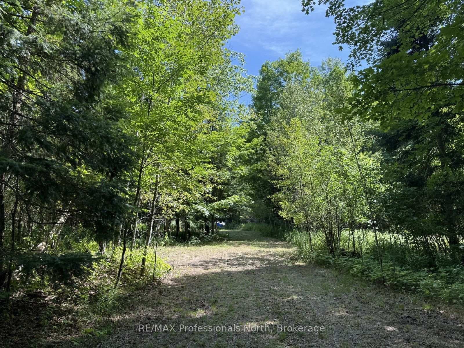 1170 Bushwolf Lake Road photo 14