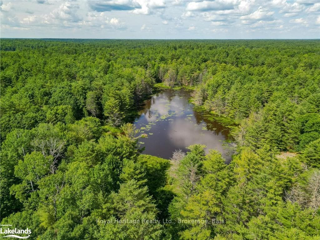 1186 SAM COOK Road photo 13
