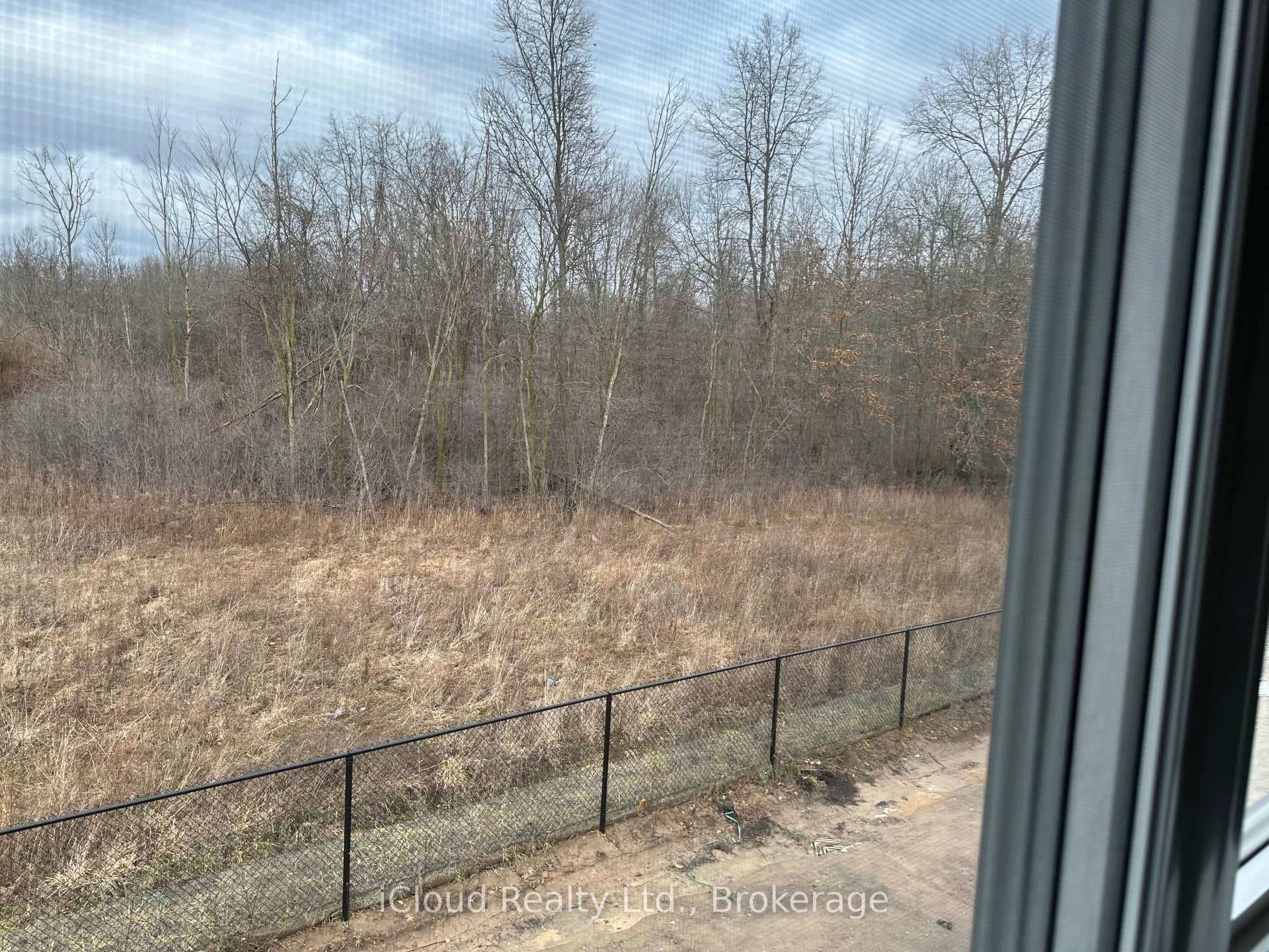 5 Wilson Court photo 16