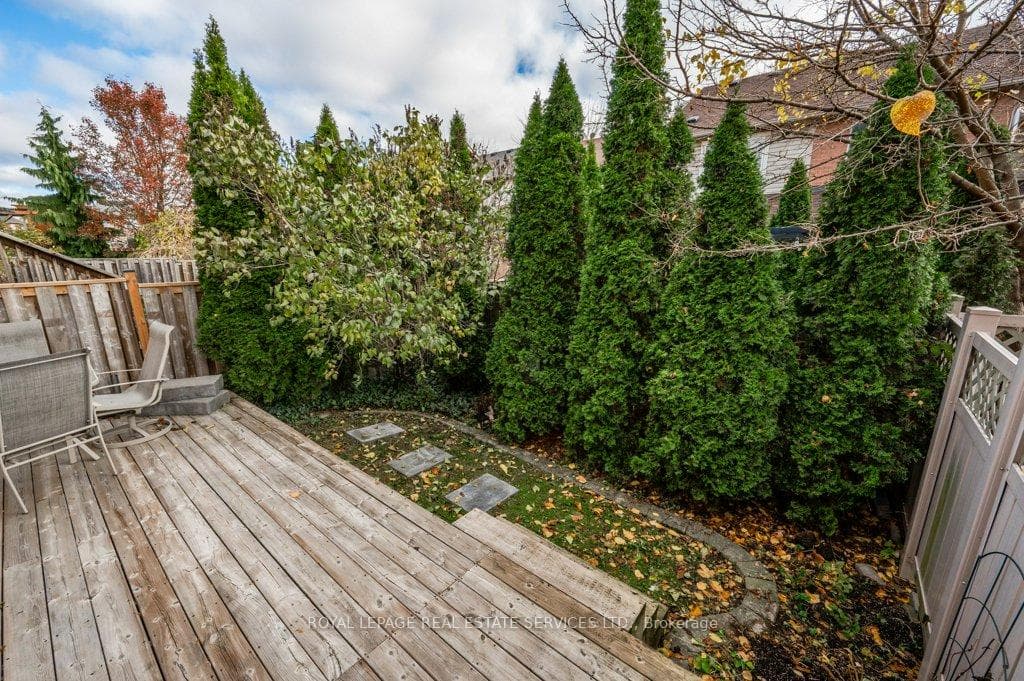 Privacy-Enhancing Backyard Cedars