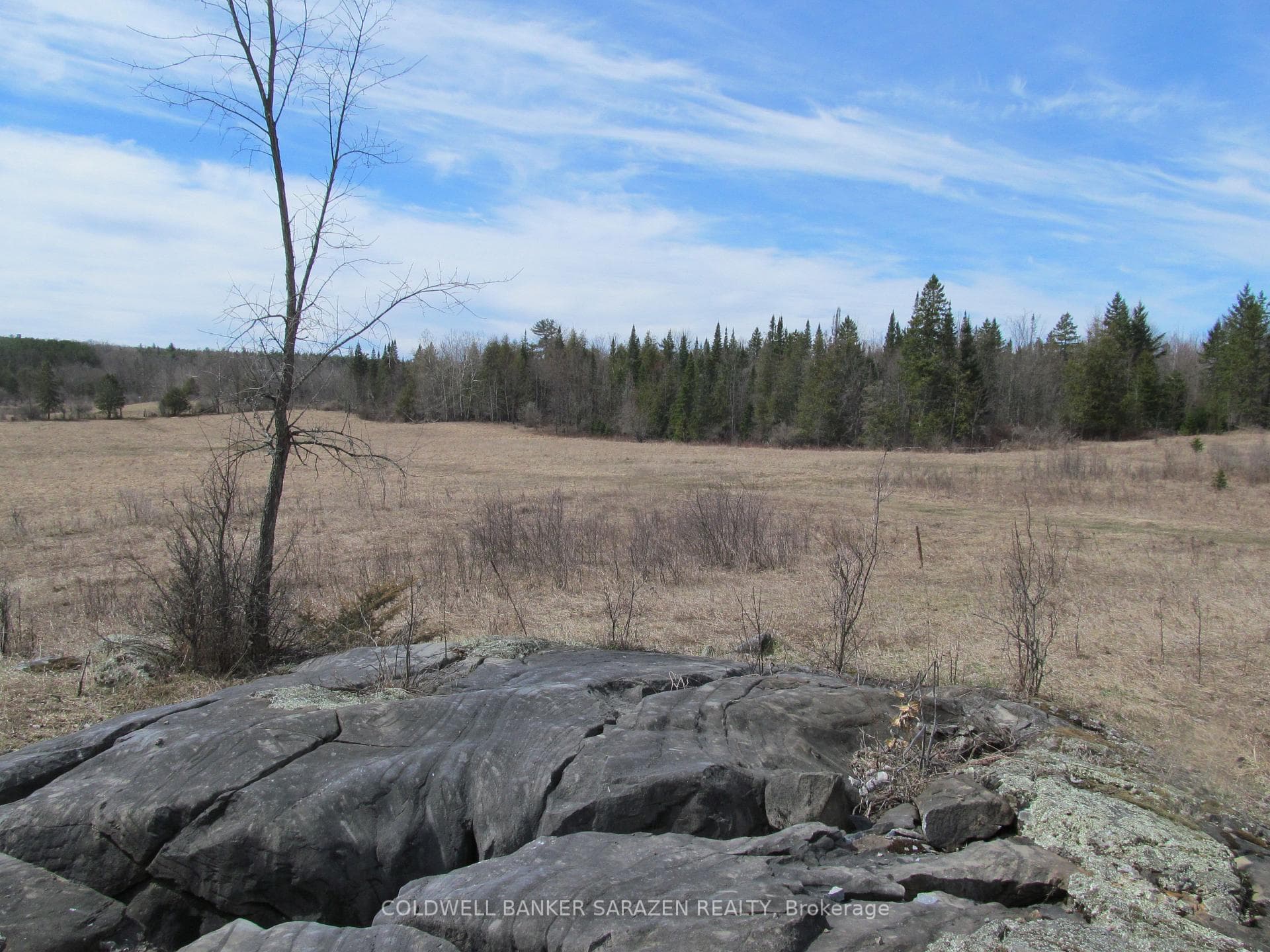 549 Kippen Road photo 15