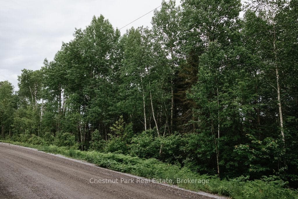 Fox Run - Year round Municipal Road