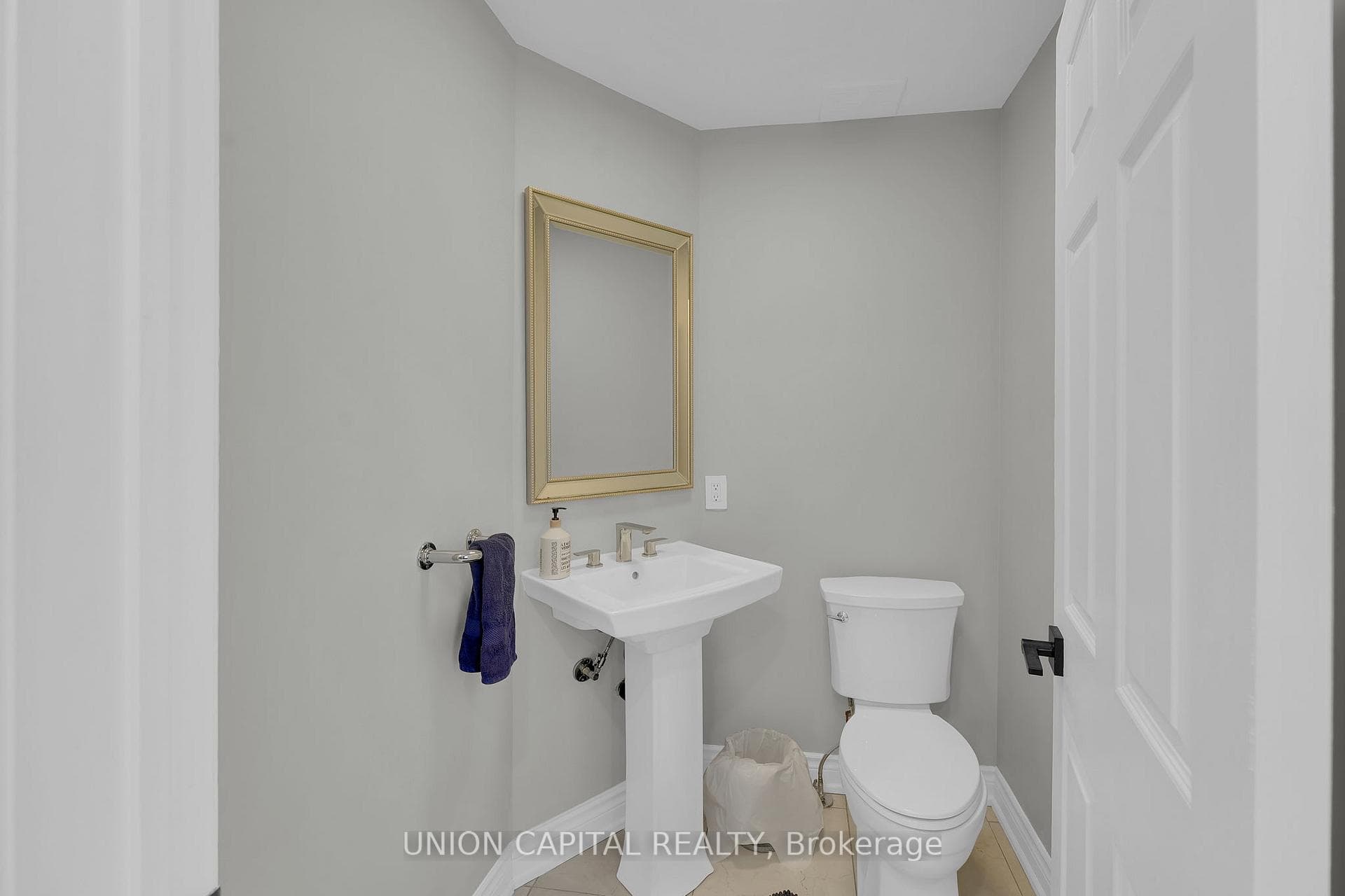 12 Reesor Place photo 17