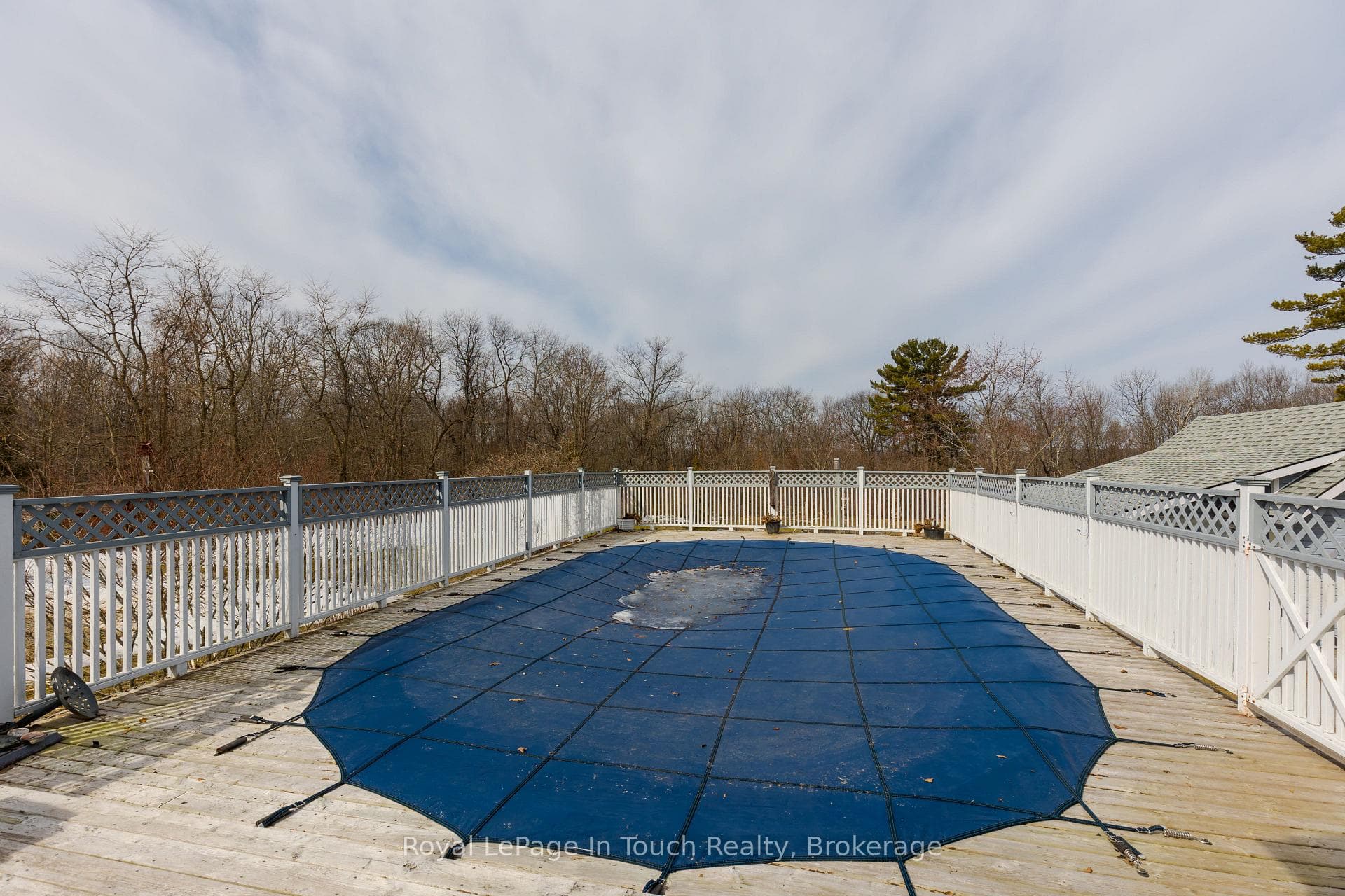Winter Cover
