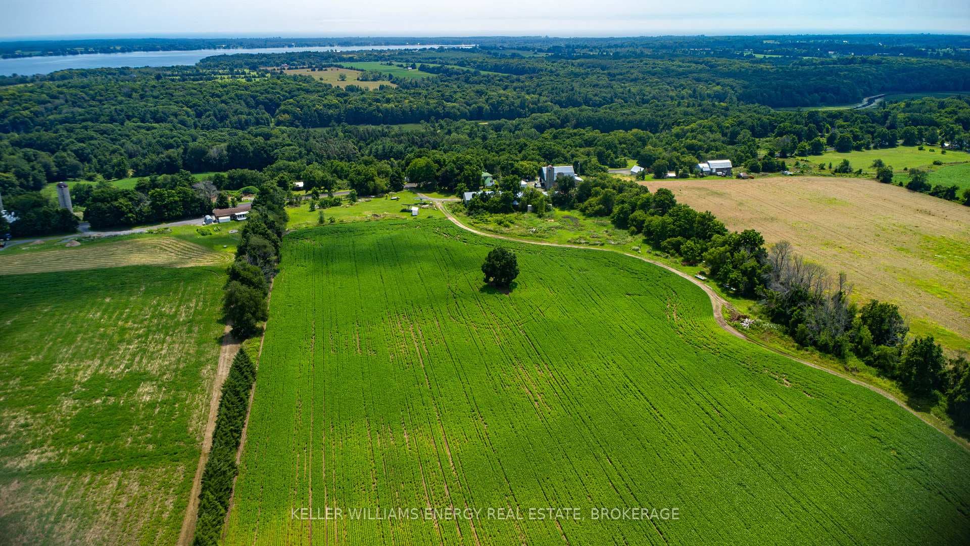 1618 County 17 Road photo 40