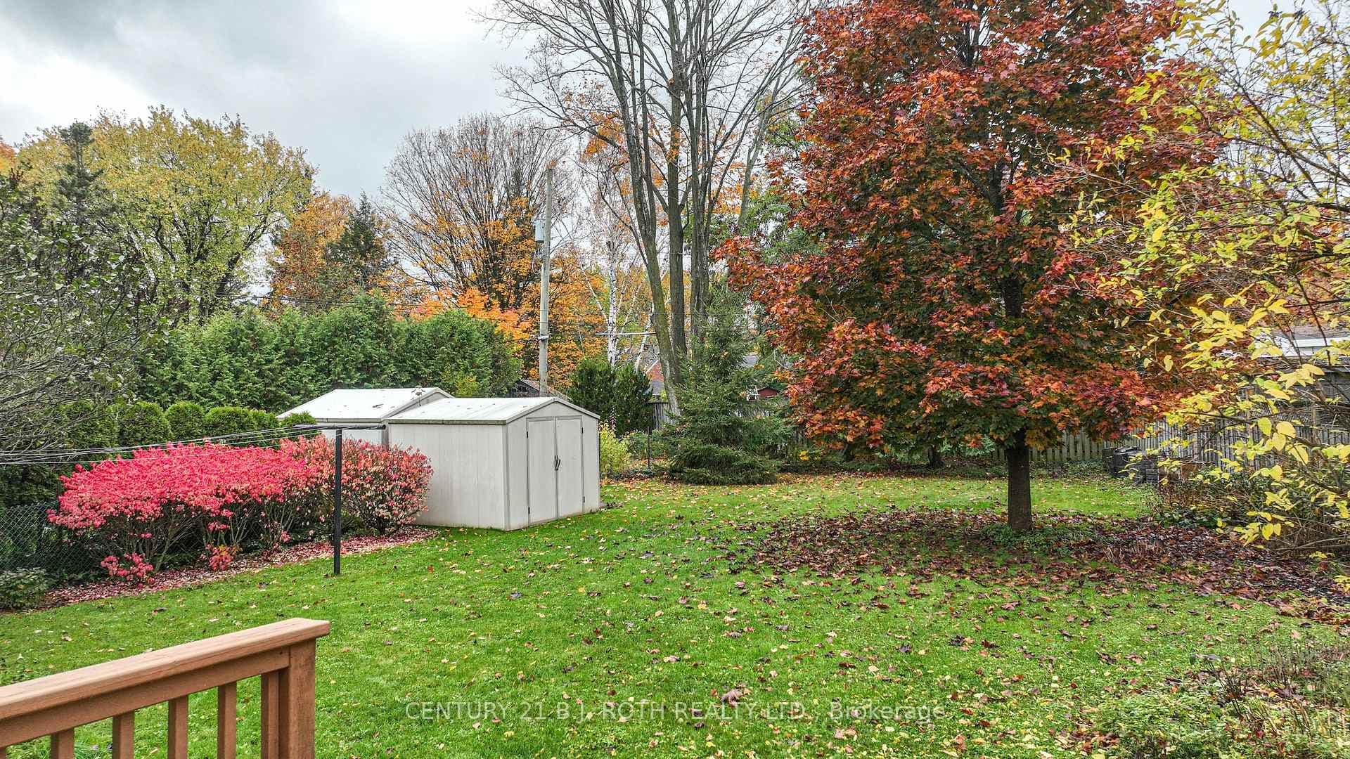 View of yard from back deck