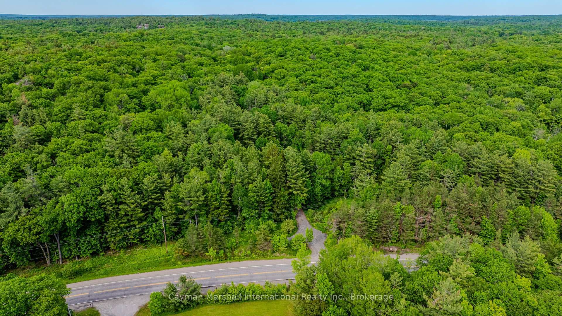 2682 Muskoka District 118 Road photo 5