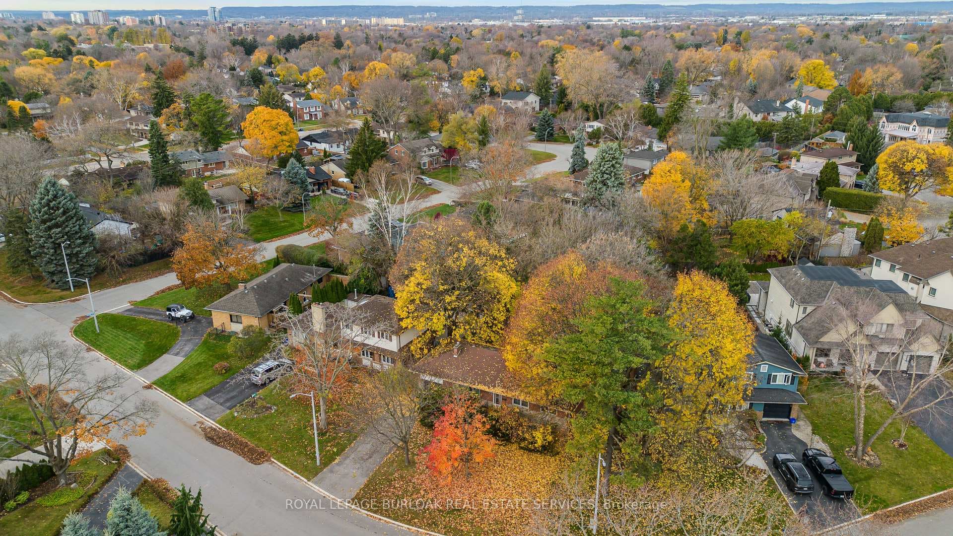 4041 Apple Valley Lane photo 5