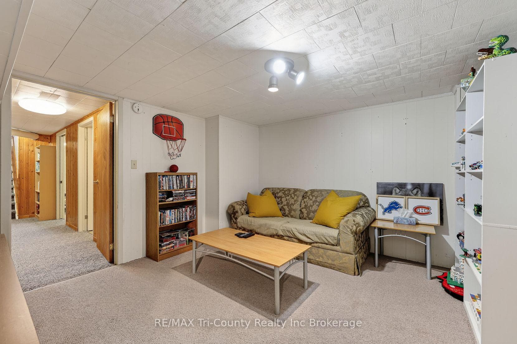 Lower level rec room