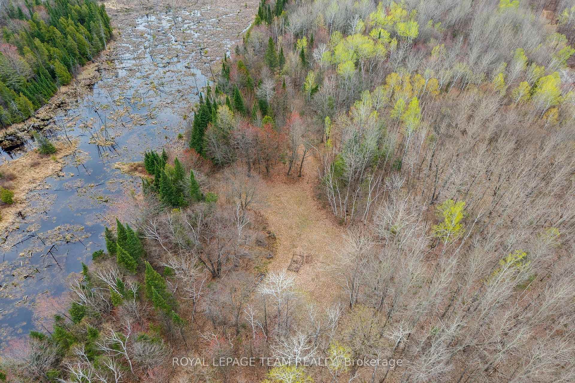 206 Olmstead-Jeffrey Lake Road photo 6