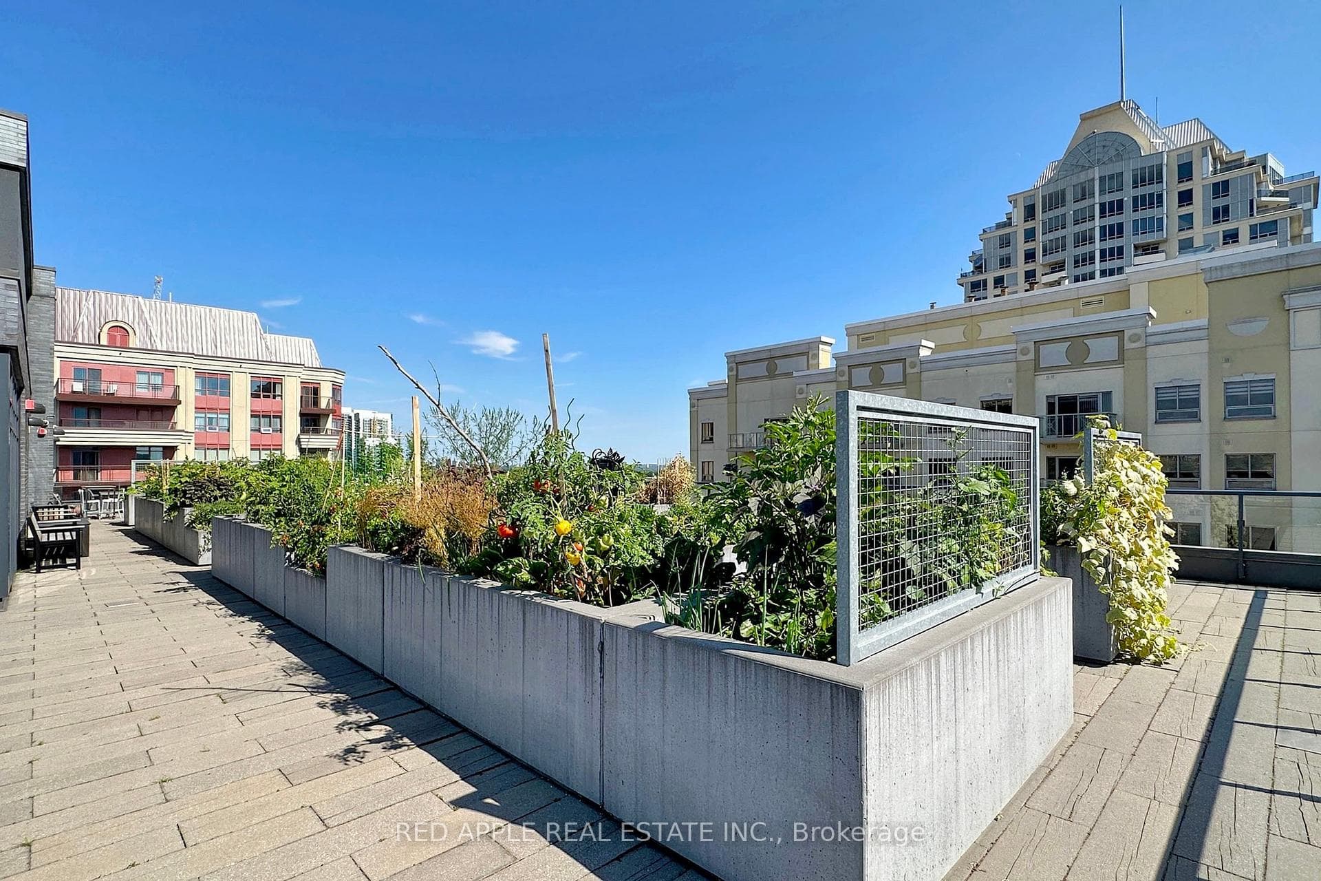 18 Rean Drive Unit 306 photo 19