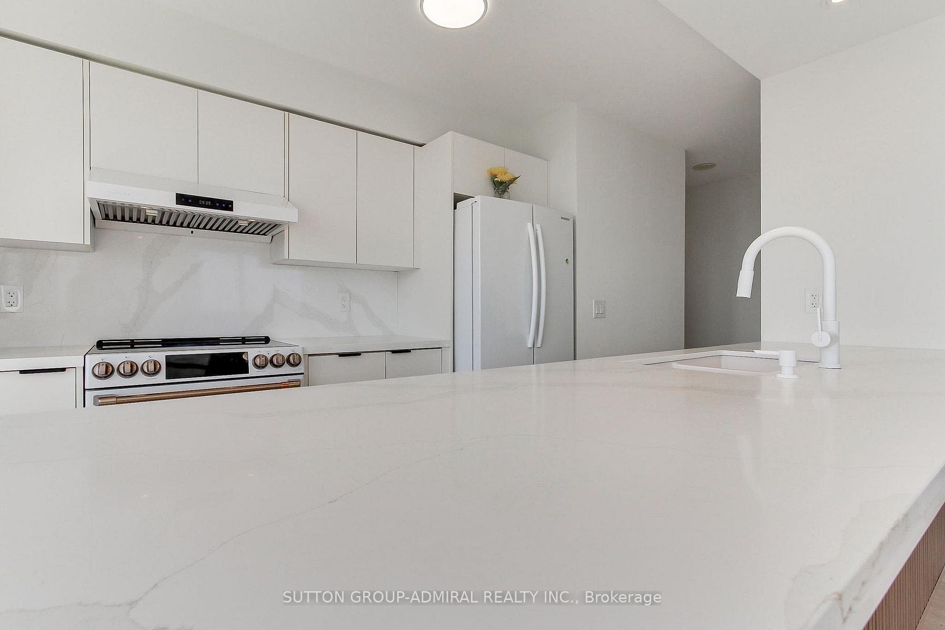50 DISERA Drive Unit 905 photo 9