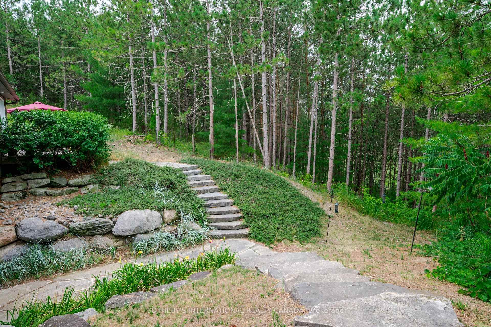 72 Campbell Road photo 41