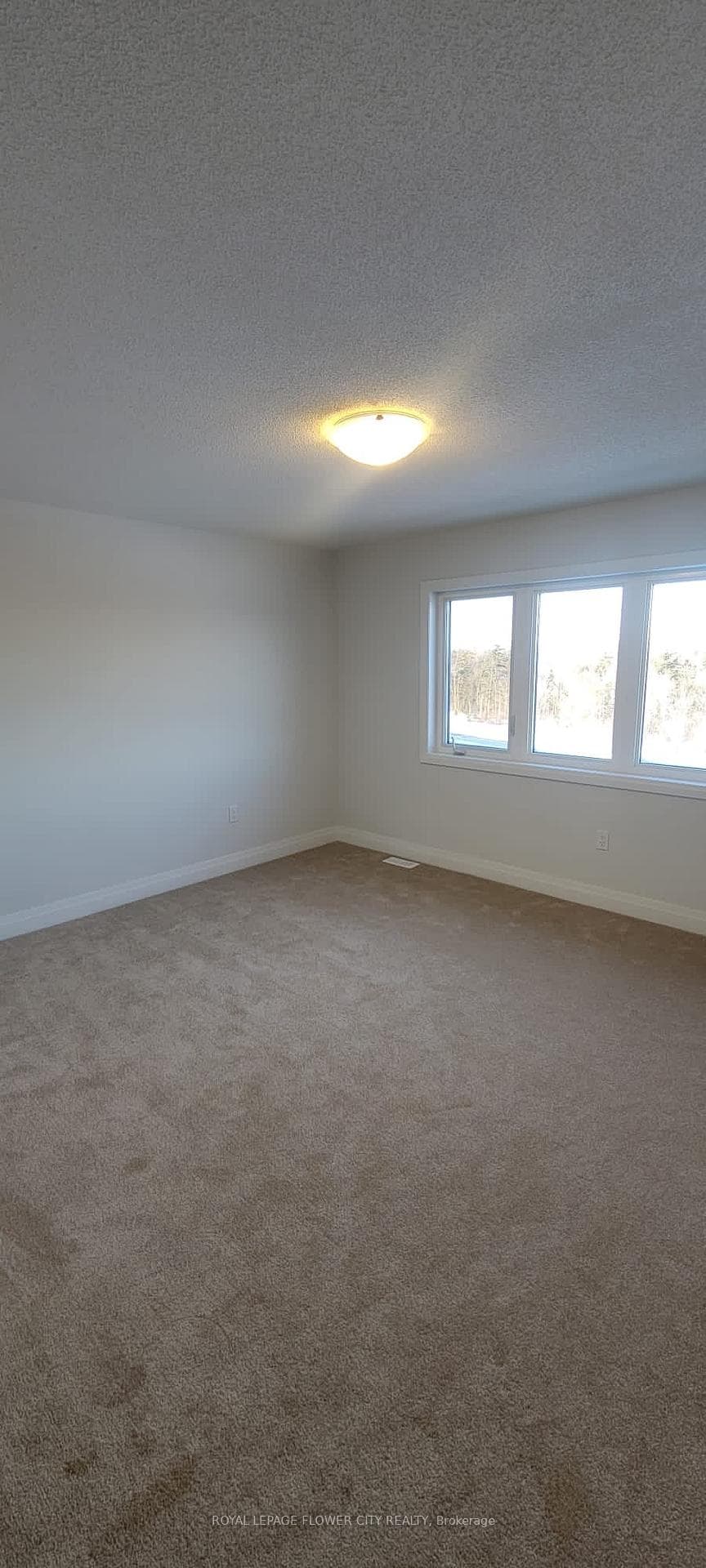 18 Humberstone Drive photo 12