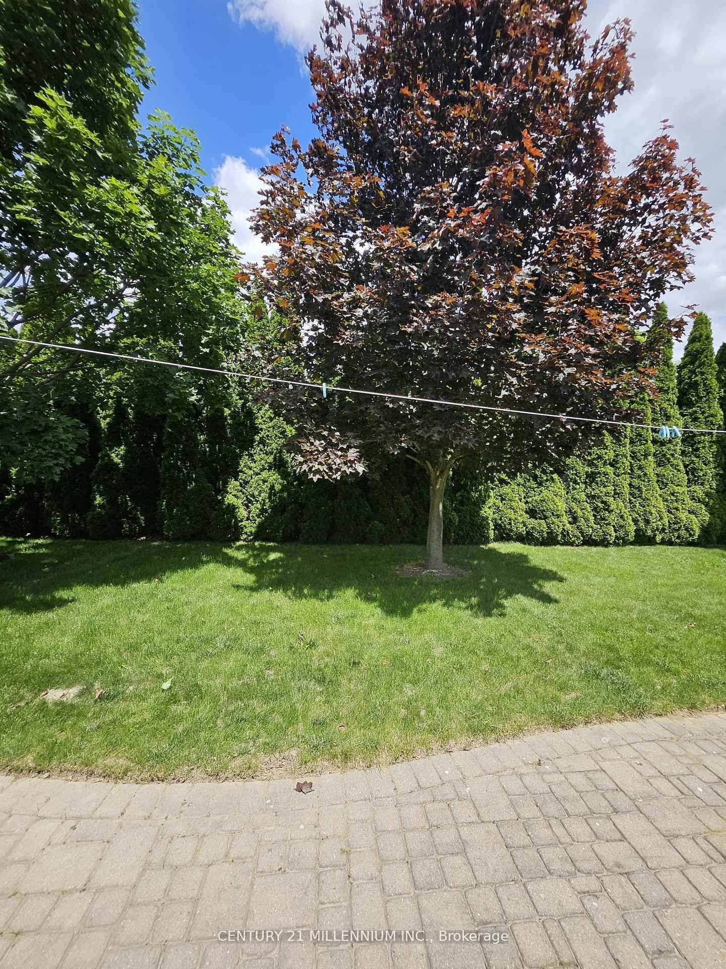413 Keil Trail photo 36