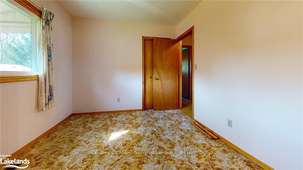 46 LOUISA Street photo 5