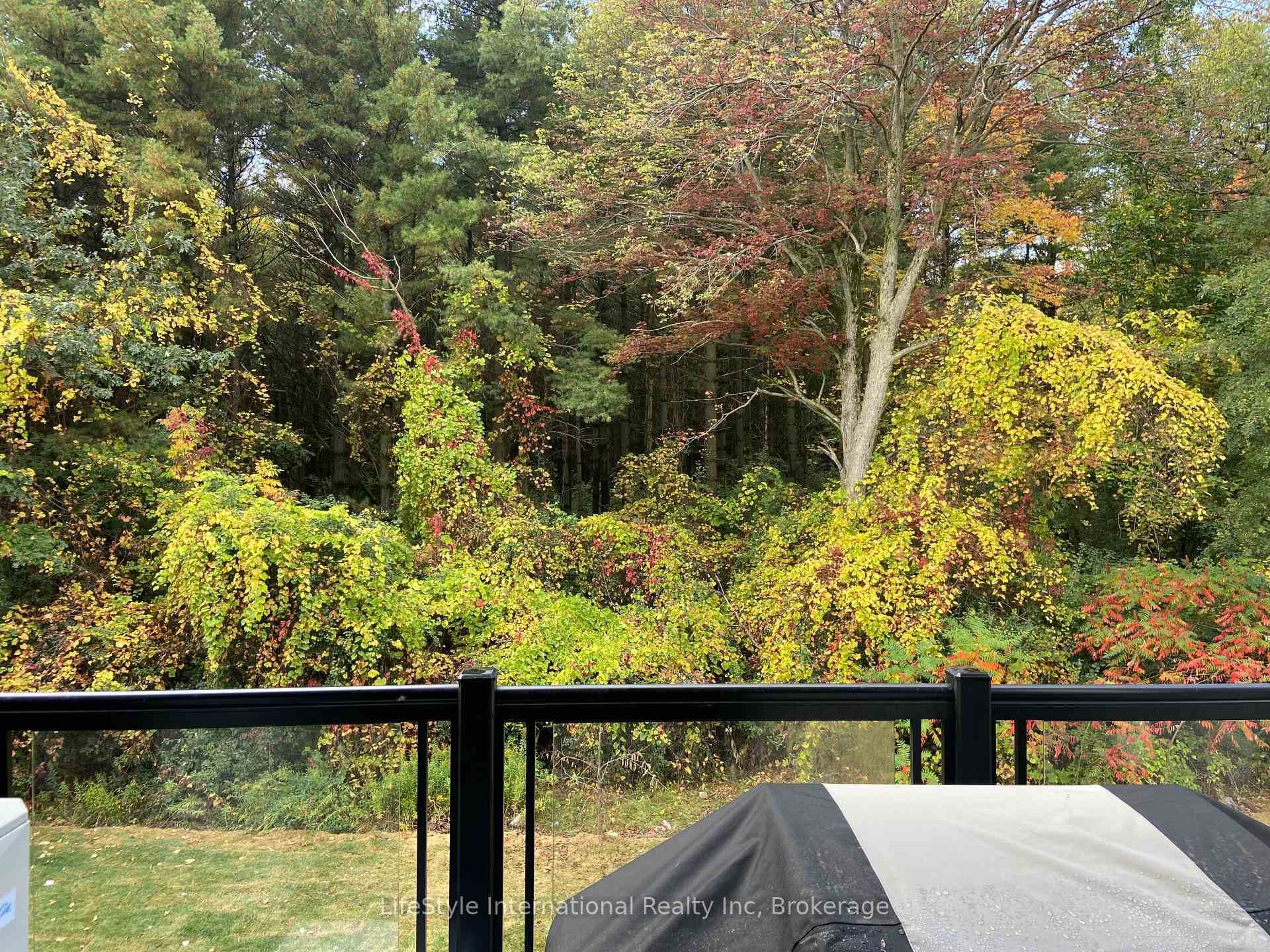 25 Isherwood Avenue Unit 36 photo 19