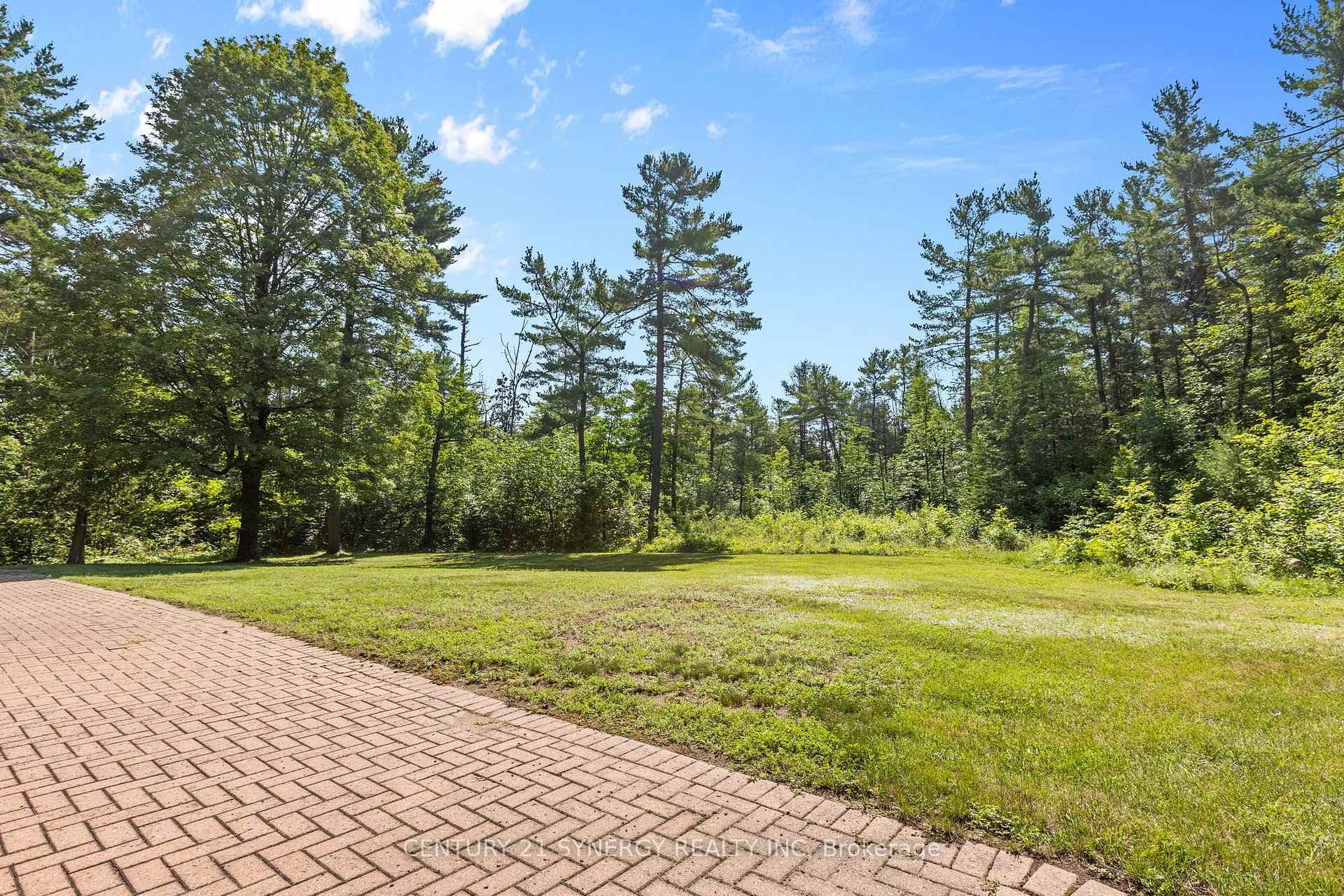 3 Carlisle Circle photo 39