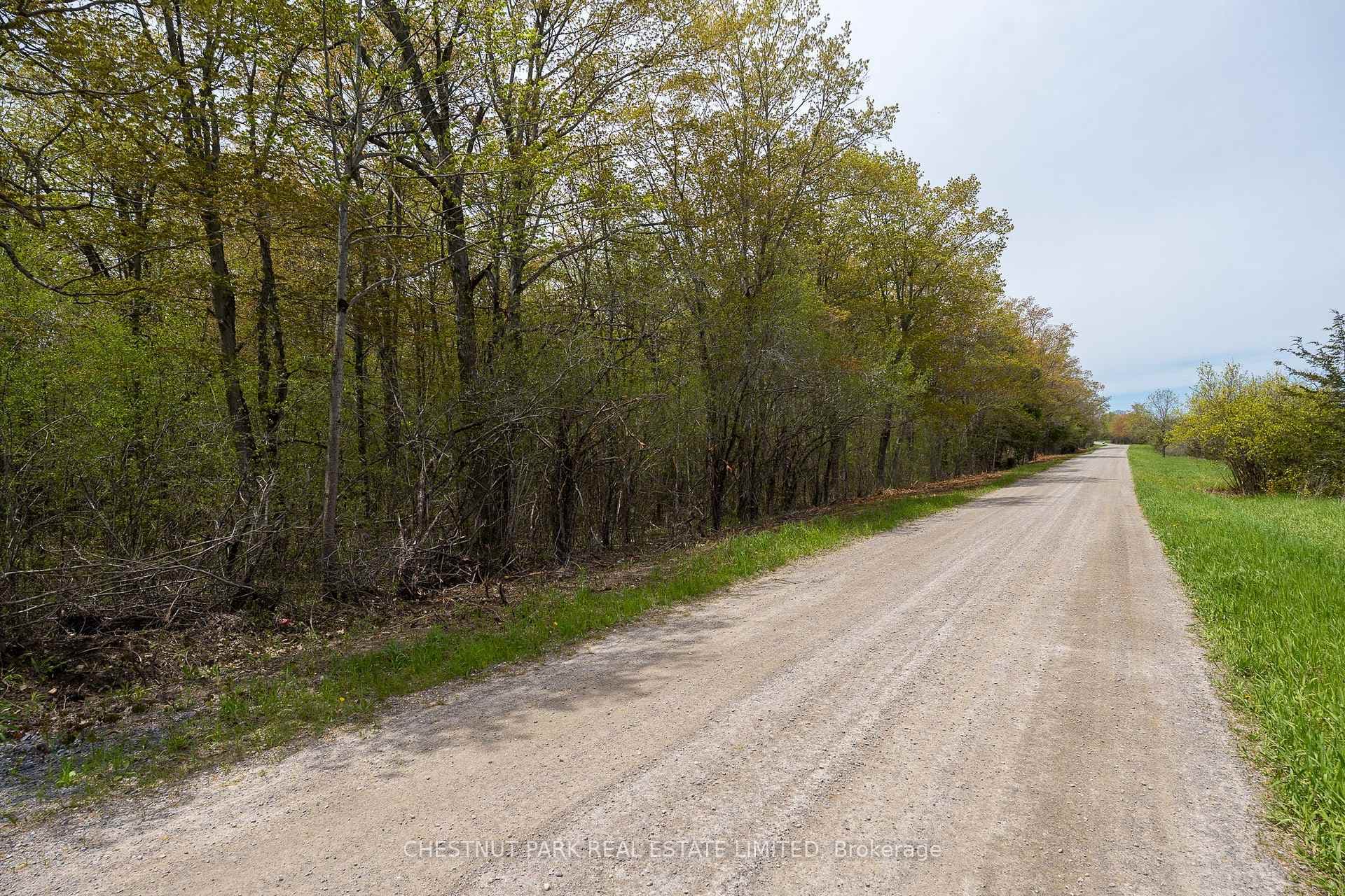 206 Simpson Road photo 18