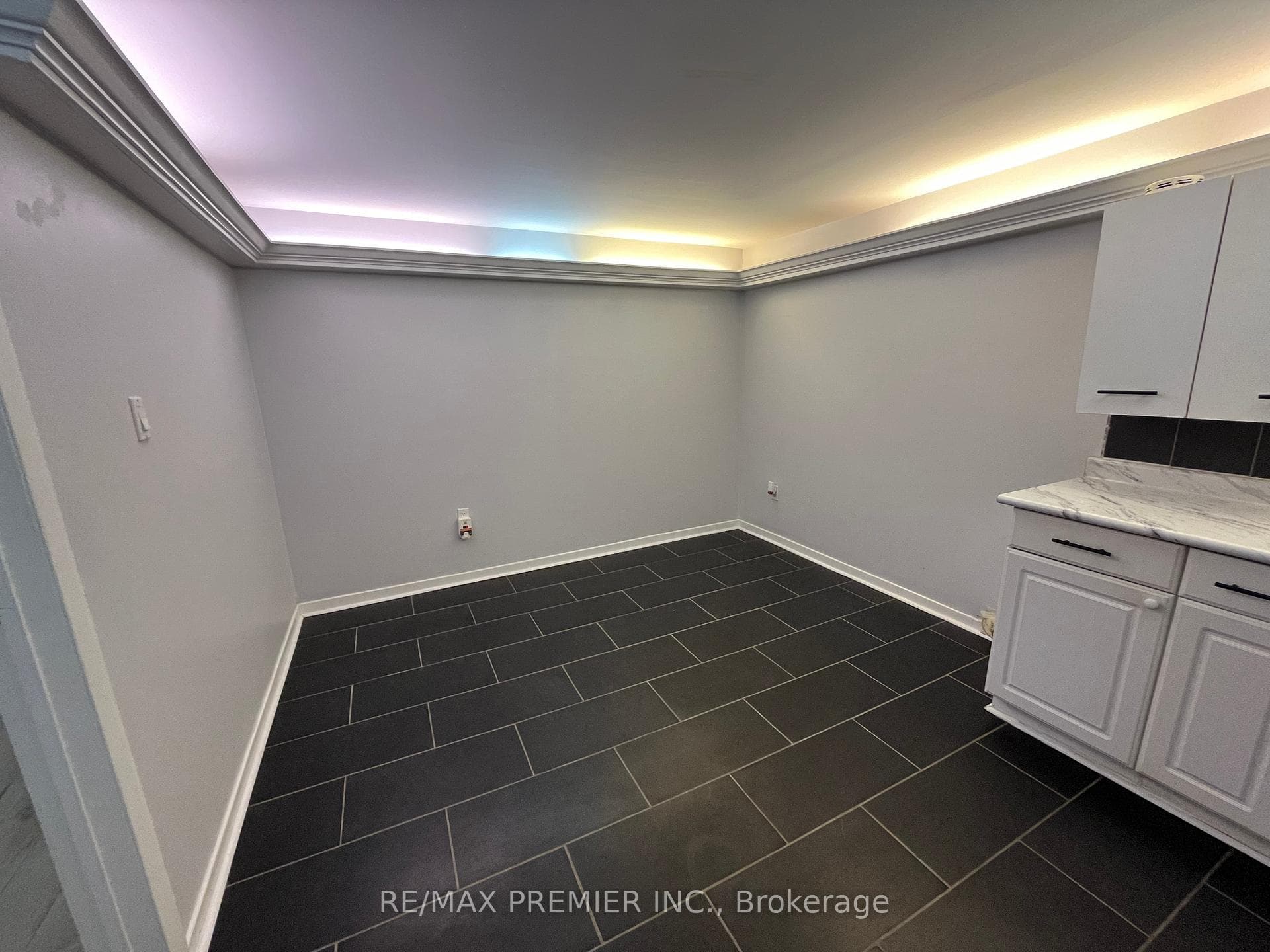 5 Tunbridge Crescent Unit BSMT photo 5