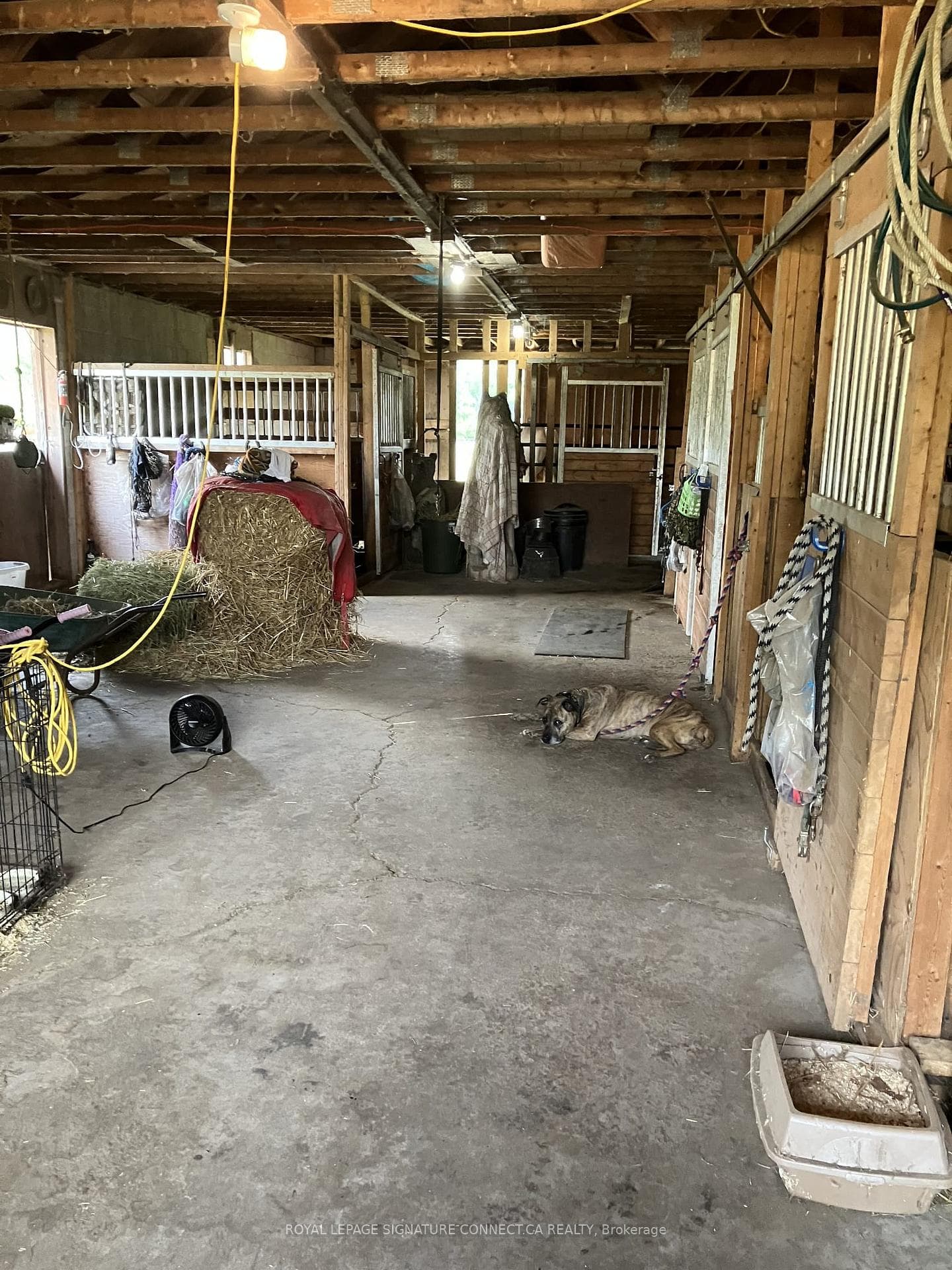 283 Inman Road photo 13
