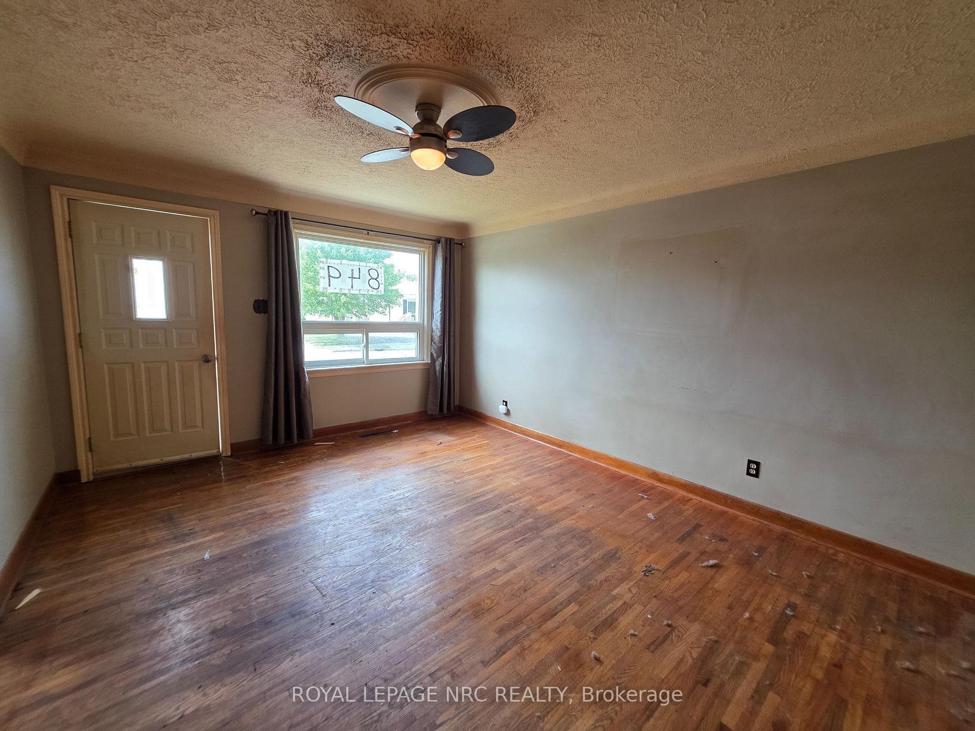 849 Harriet Street photo 7