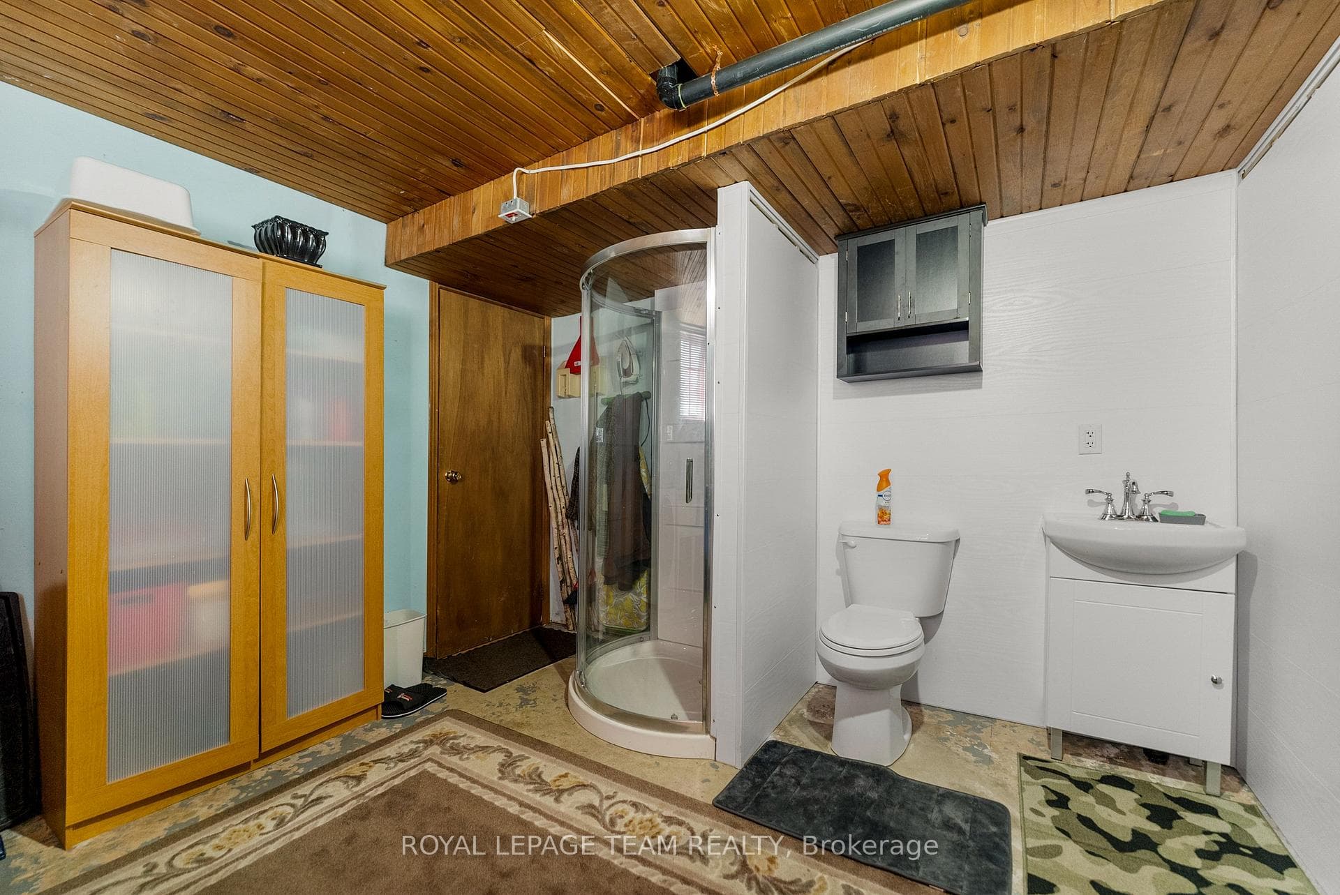 Basement Bathroom/Laundry Room/Utility Room