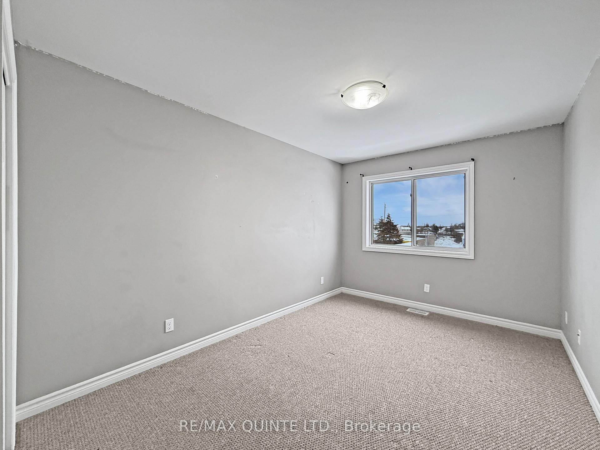 77 Mountain Ash Drive photo 24