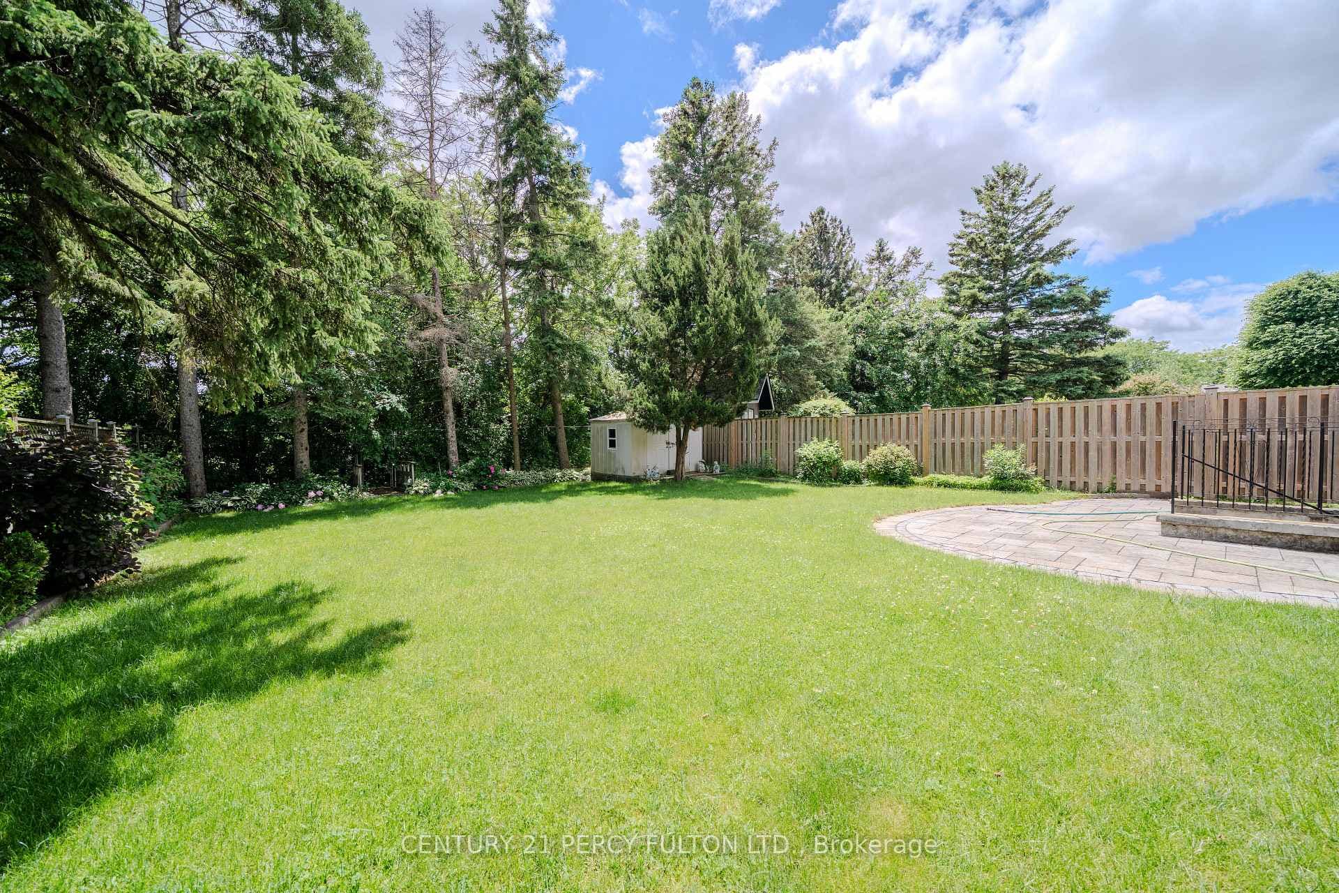53 Linwood Ave- backyard