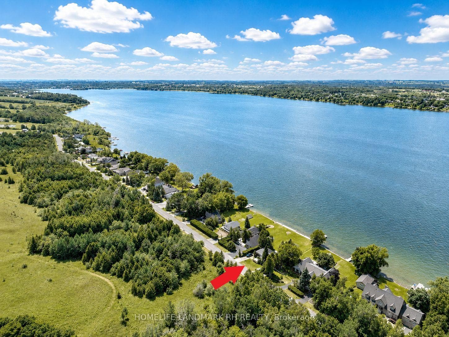 186 Spring Boulevard photo 5