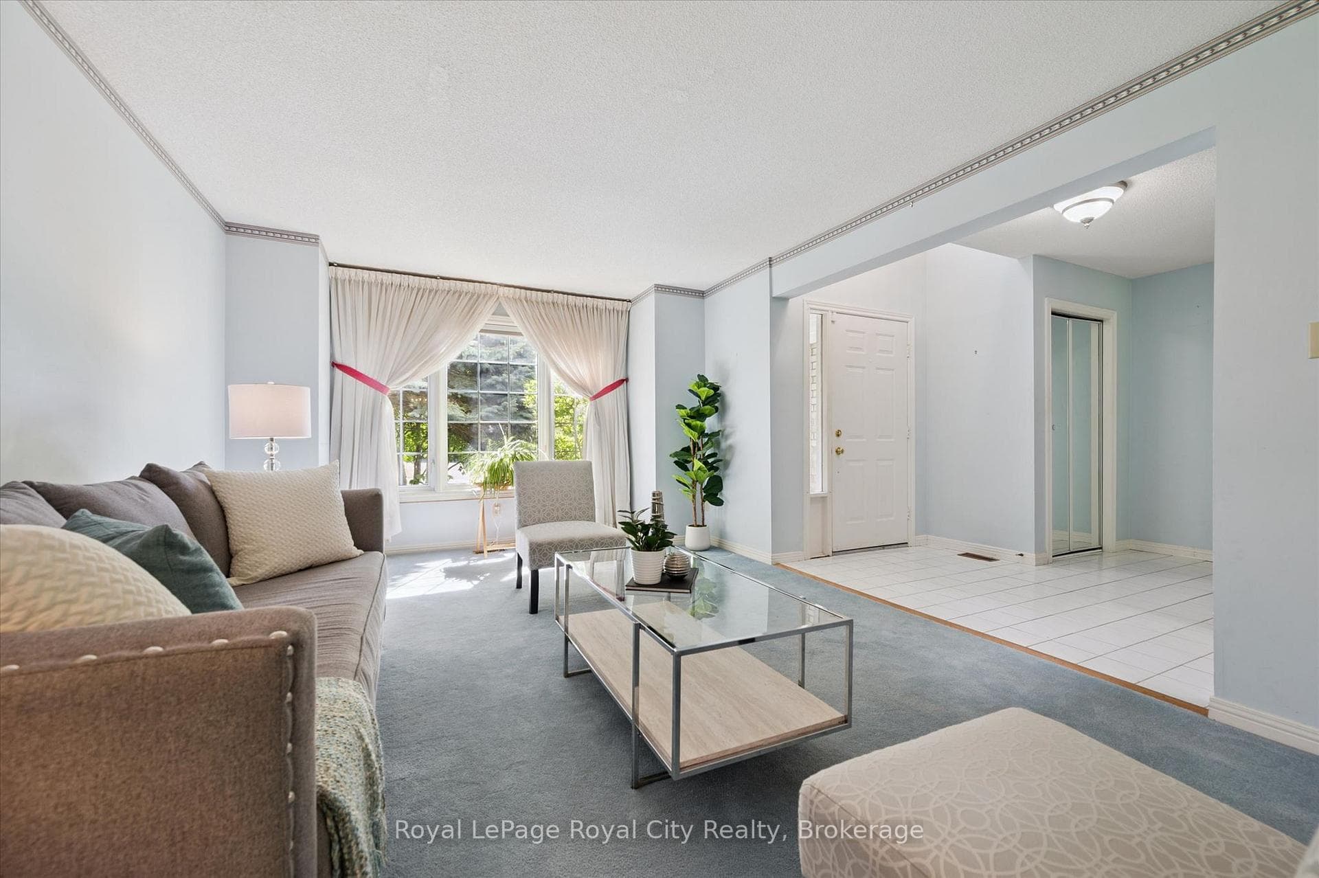 539 Harvey Street photo 6