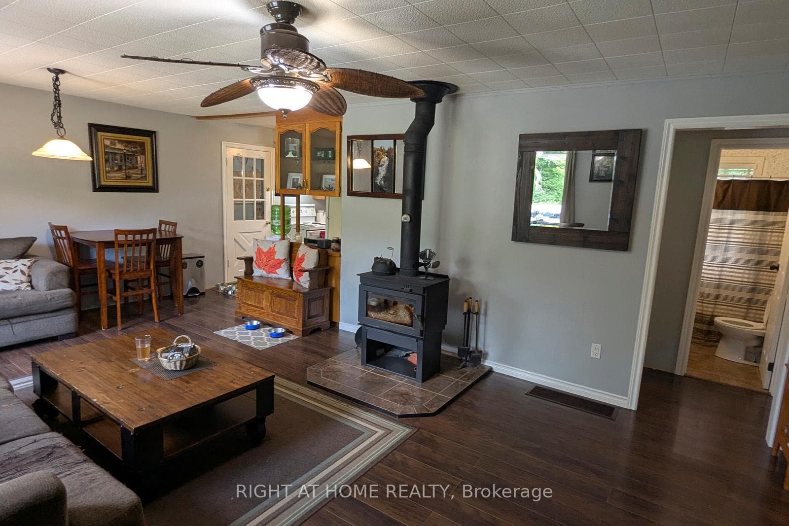 524 BALSAM CHUTES Road photo 13