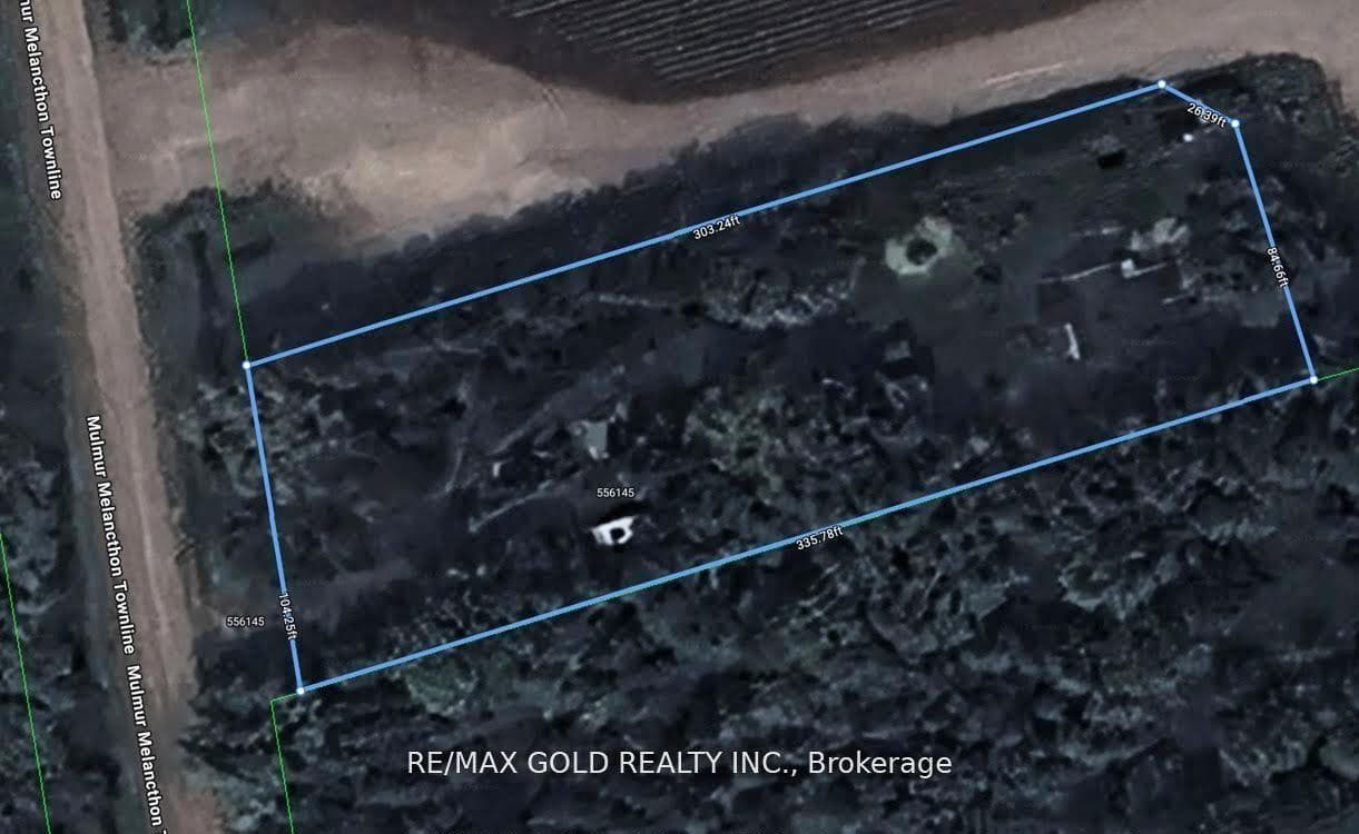 556145 Mulmur Melancthon Townline photo 1