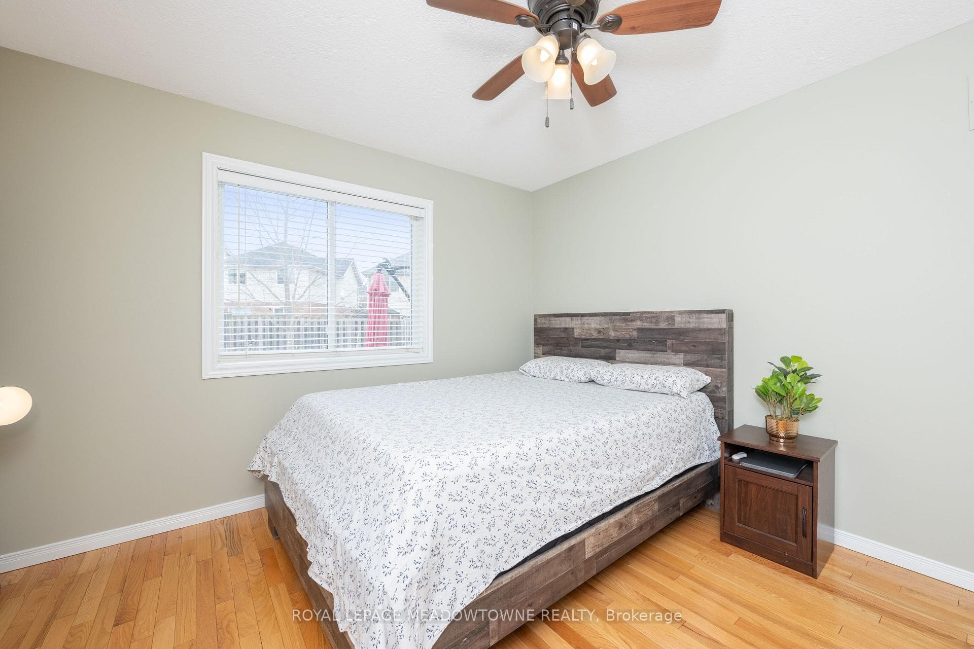 14 Costigan Court photo 20