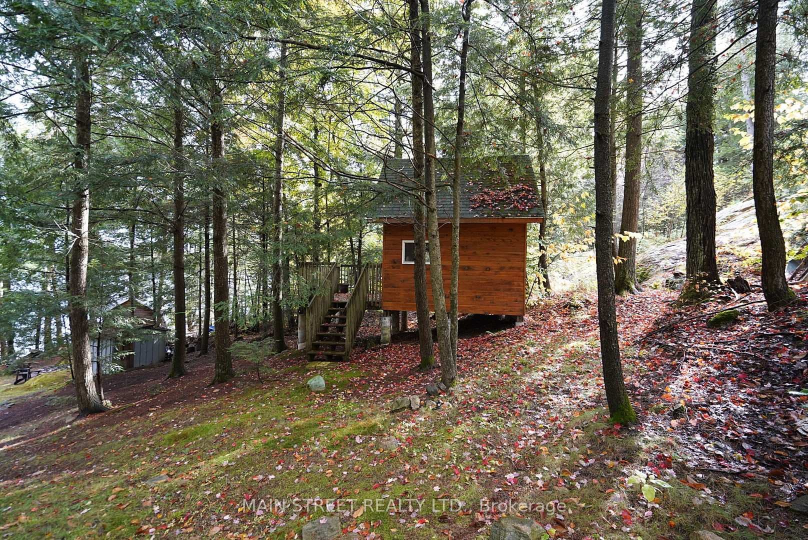 Charming Bunkie