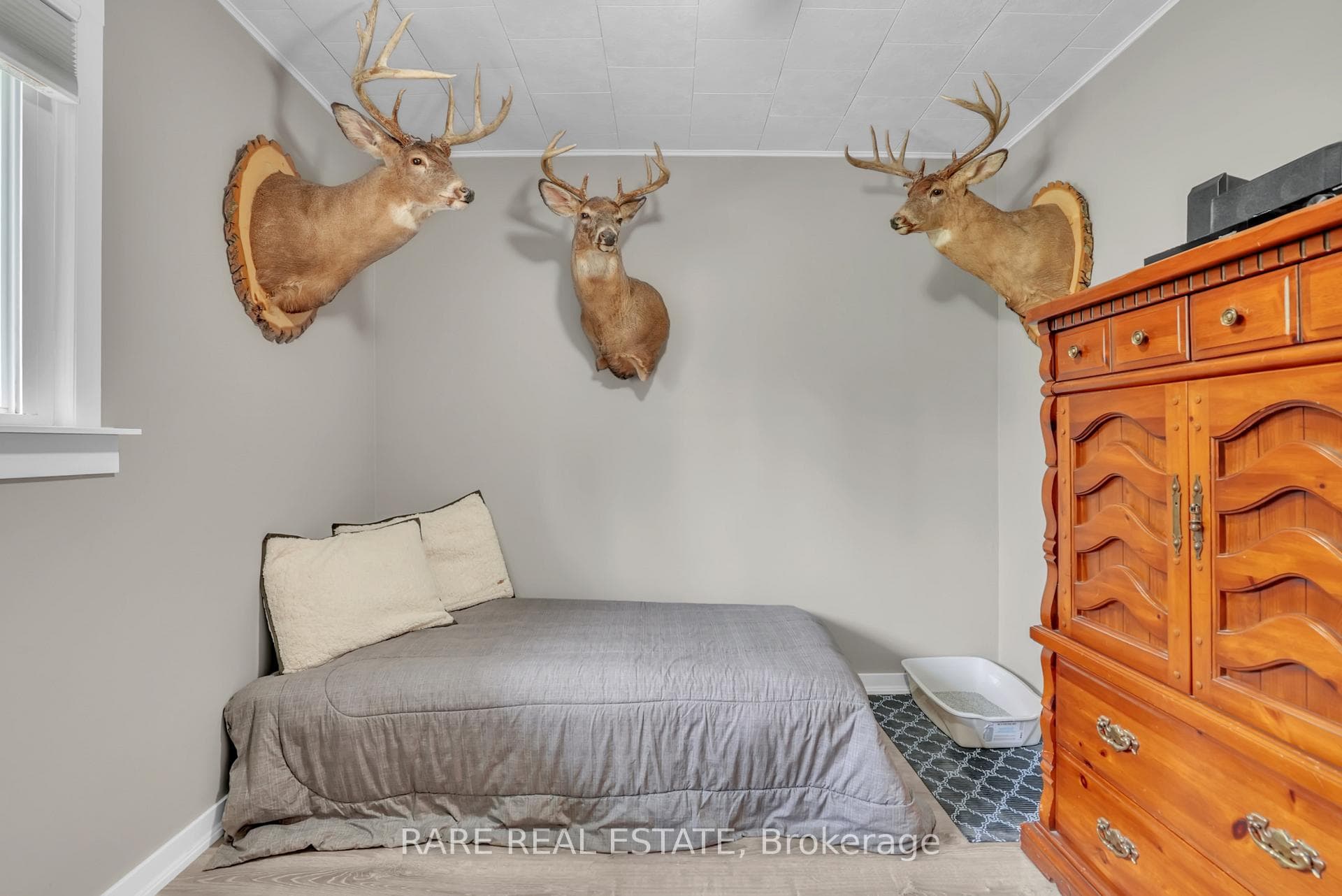 1121 Ferrier Avenue photo 23