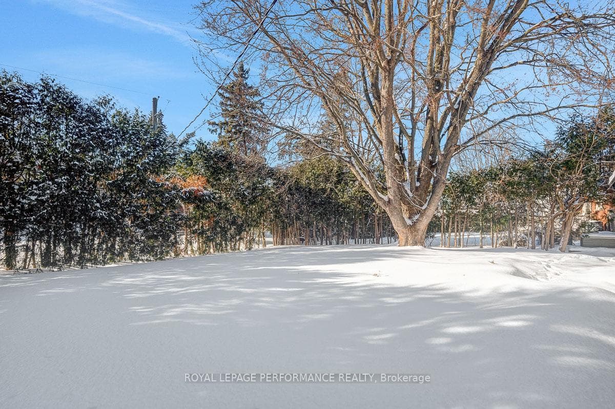 52 Glenridge Road photo 25