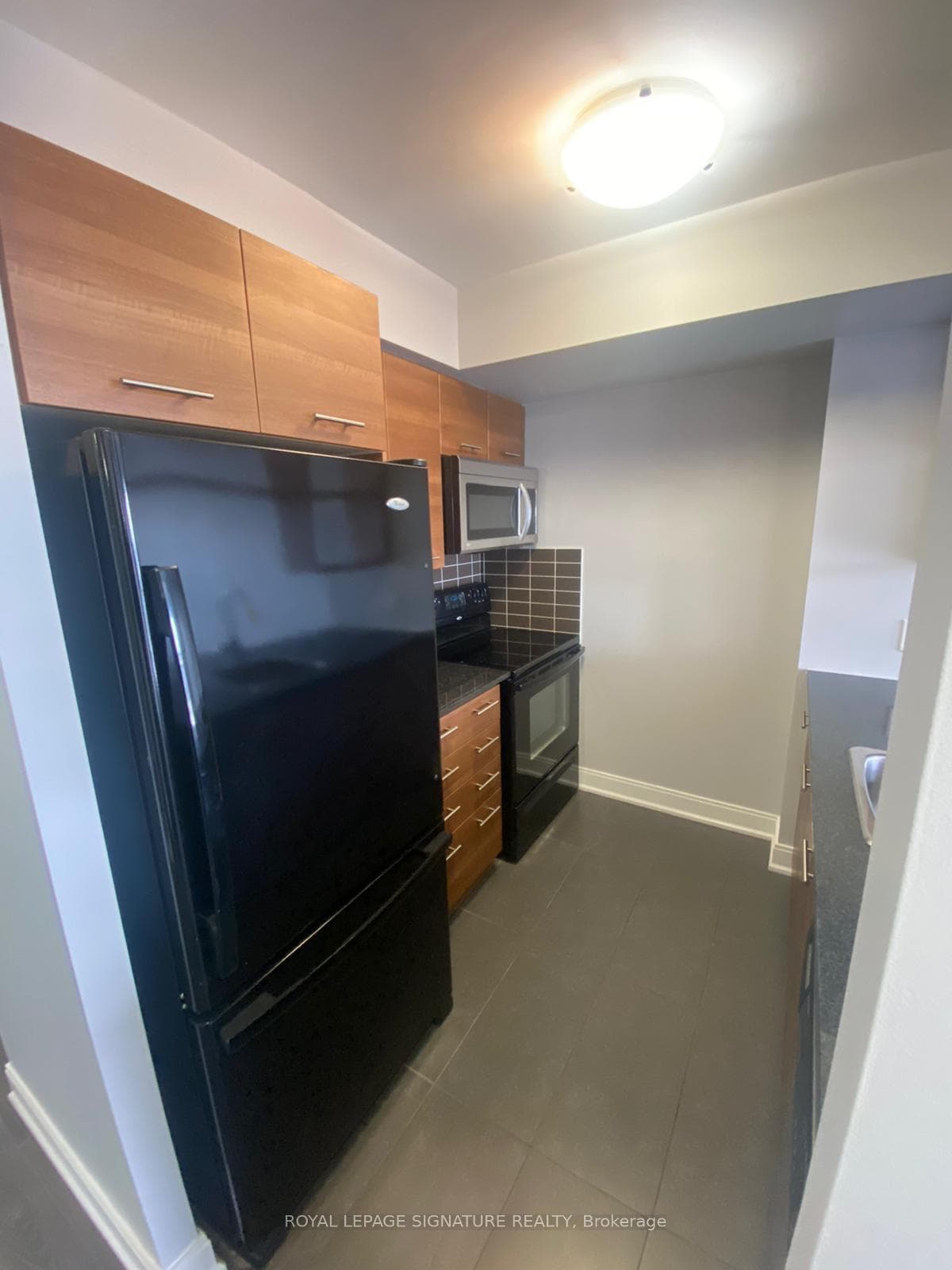 125 Village Green Square Unit 2506 photo 12