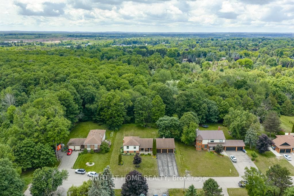 16 Snowberry Court photo 48