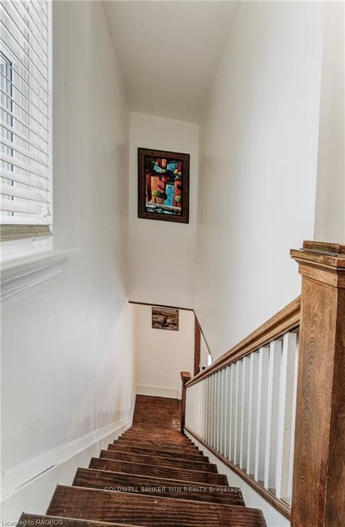 119 BRUCE Street photo 22