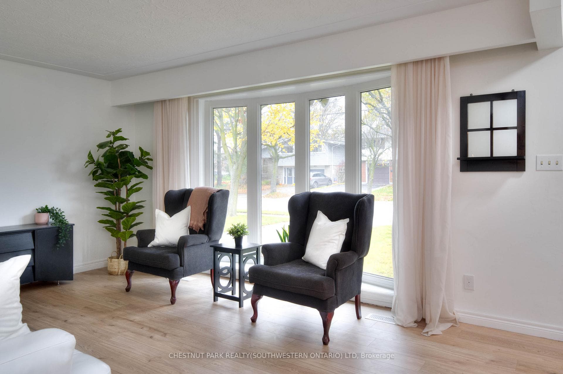 482 Franklin Street photo 8