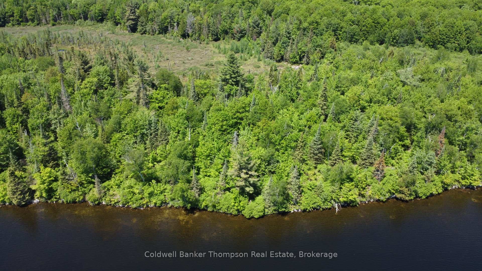 0 Beaver Lane photo 6