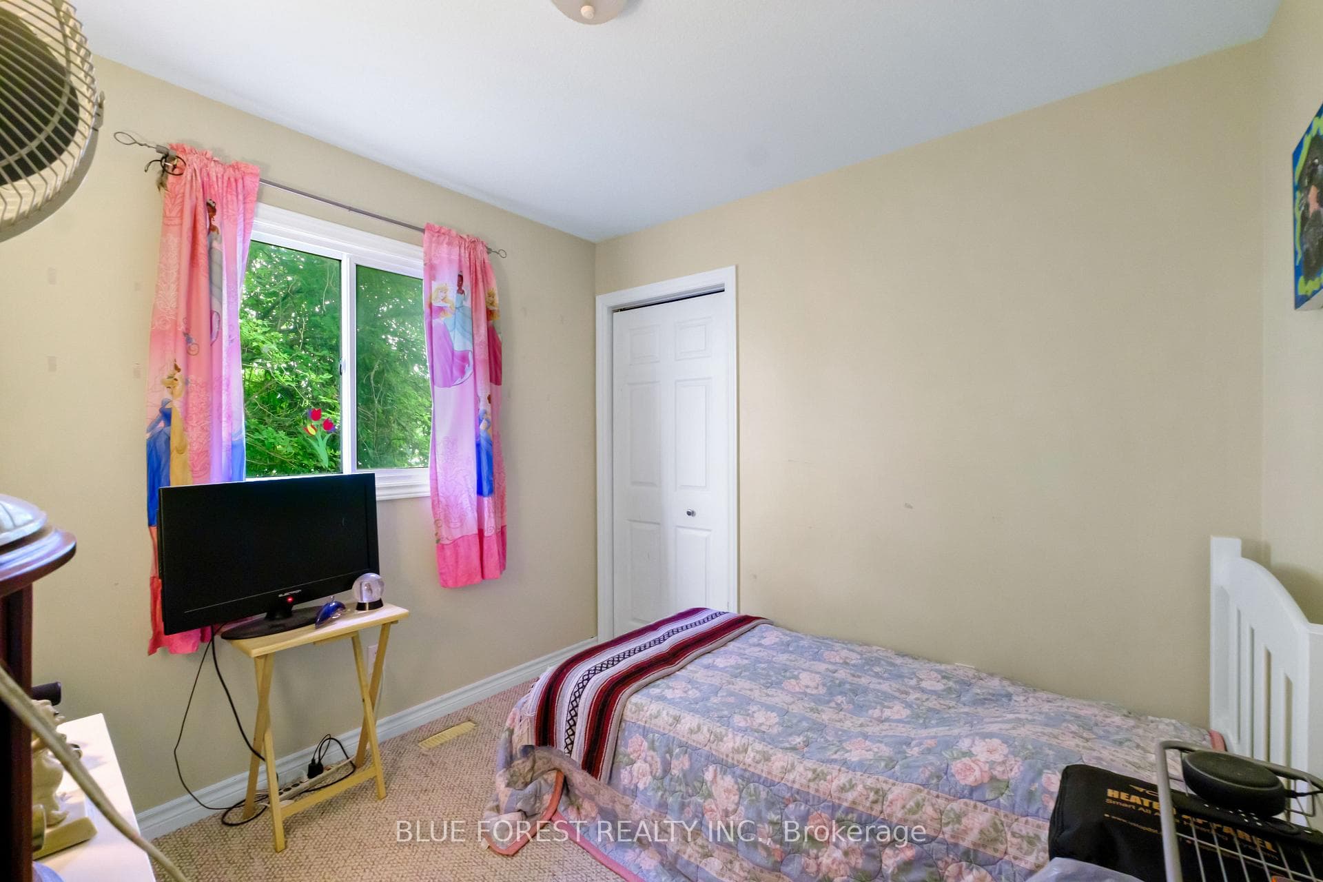 8 Elgin Street photo 16