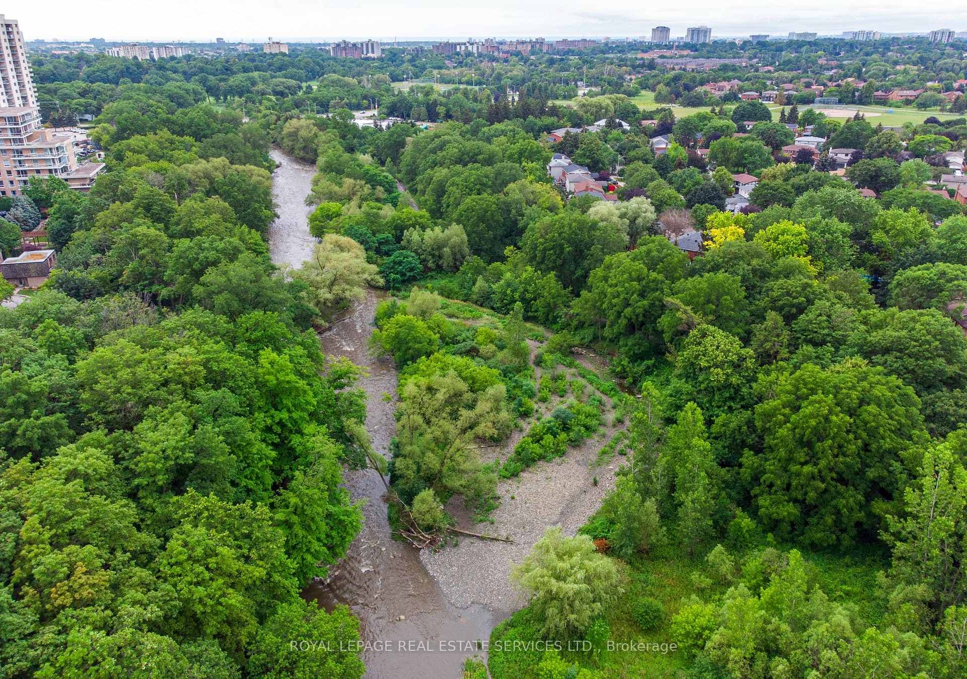 Summer View of Etobicoke Creek Ravine