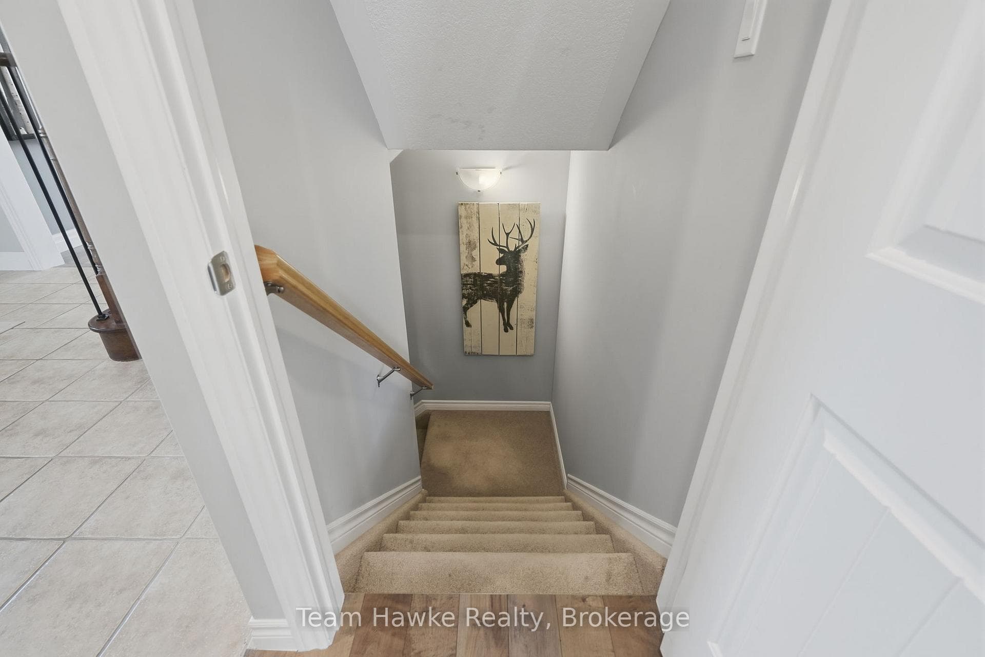 3 Sheppard Drive photo 30